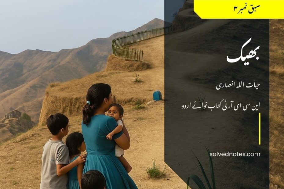 Bheek by Hayatullah Ansari