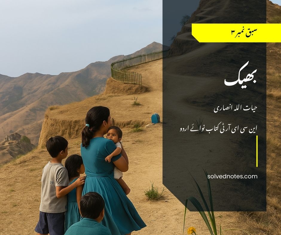 Bheek by Hayatullah Ansari